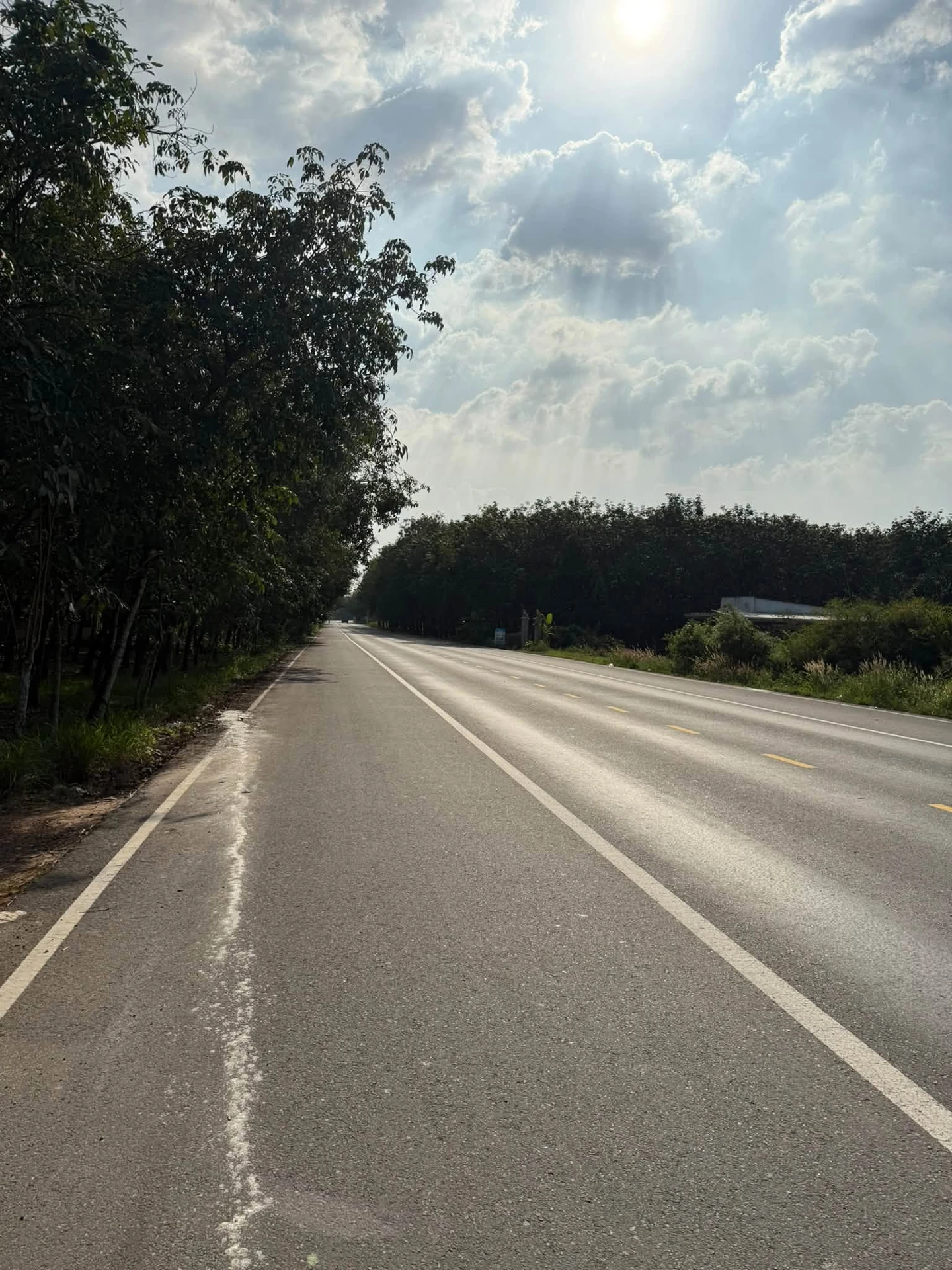 Bán đất 1 hectare mặt tiền Bến Cát, Bình Dương - Ảnh 1