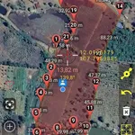 Bán rẫy 1,9 ha Lâm Đồng giá 4,4 tỷ - Ảnh thu nhỏ 2