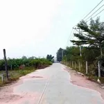 Bán đất Long Nguyên 1068m² 1,1 tỷ đối diện Saigonland - Ảnh thu nhỏ 3