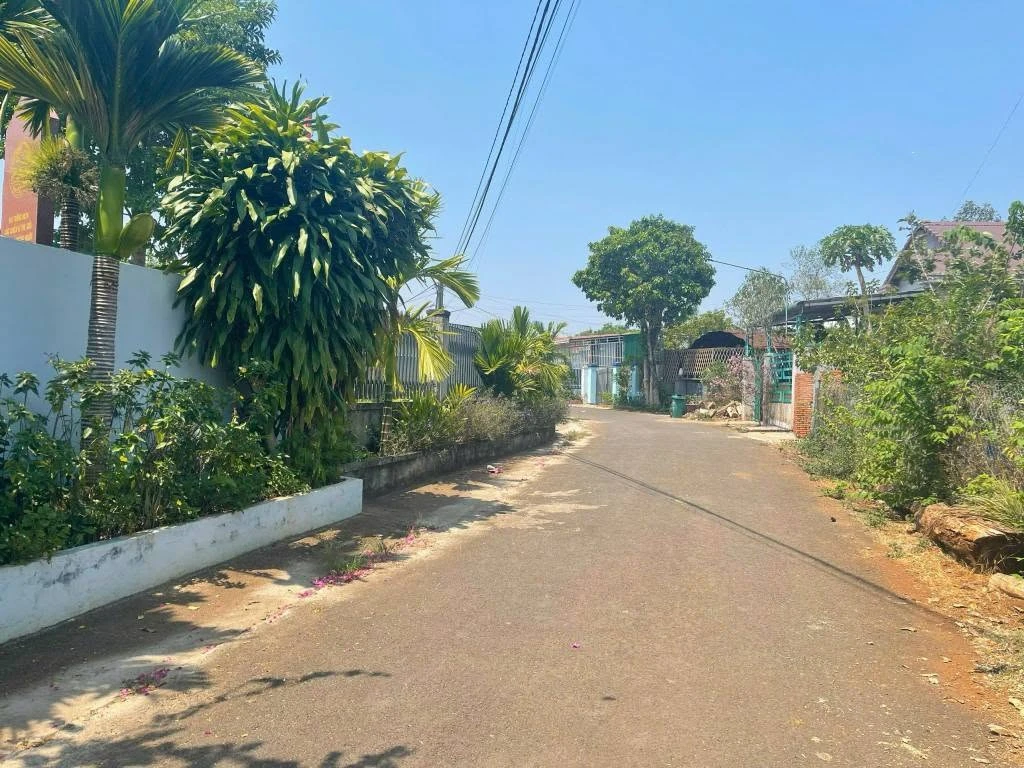 Bán đất 125m² Phường Eakao Buôn Hôldót, mặt tiền đường nhựa - Ảnh 1