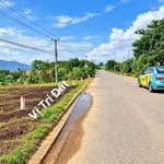 Bán đất thổ cư 220m2 mặt tiền Tỉnh Lộ 8C Khánh Hoà - Ảnh thu nhỏ 2