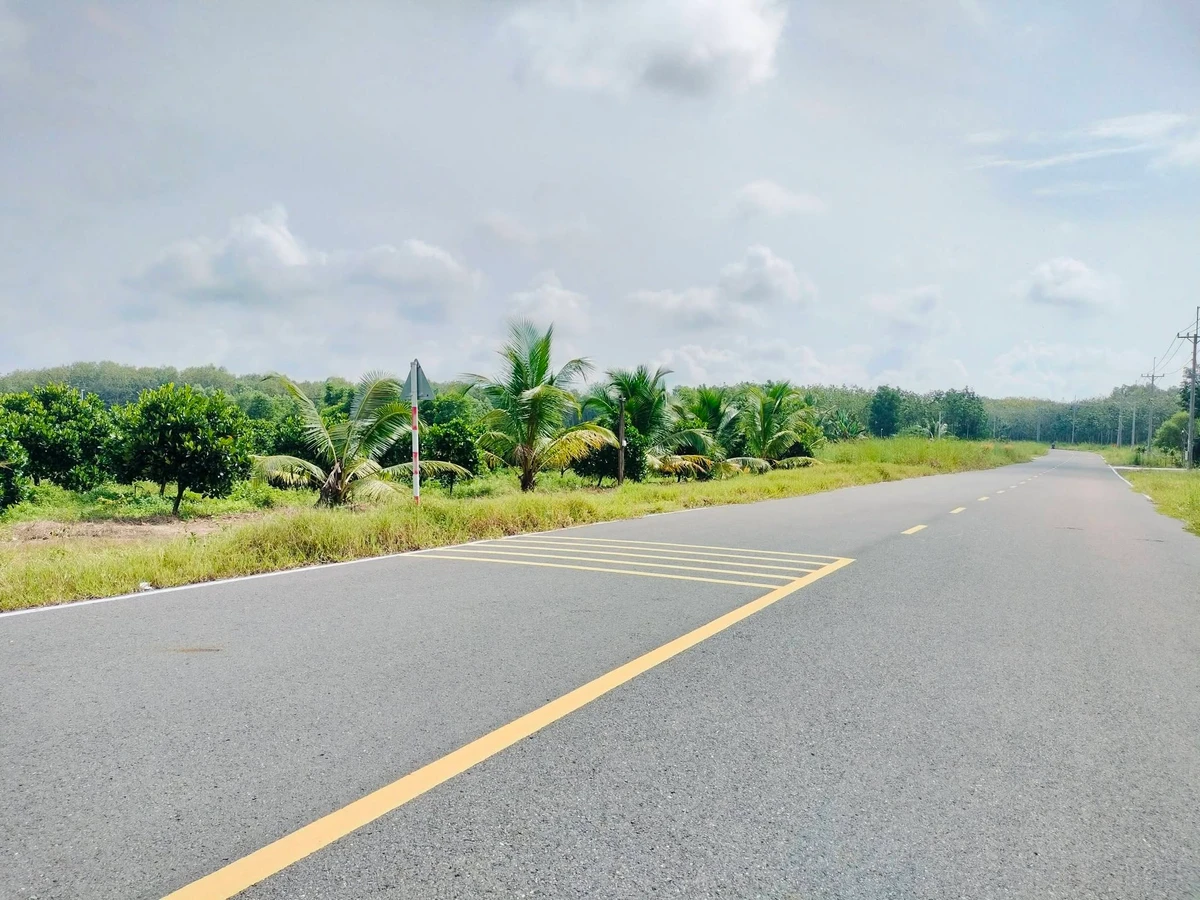 Bán vườn mít 1 sào 1020m² Bình Phước 280 triệu - Ảnh thu nhỏ 4