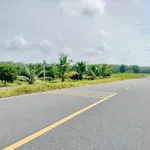 Bán vườn mít 1 sào 1020m² Bình Phước 280 triệu - Ảnh thu nhỏ 4