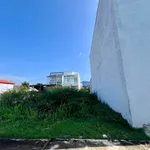 Bán đất thổ cư 100m² 2 mặt tiền Phường Bình Thuận, Lâm Đồng - Ảnh thu nhỏ 4