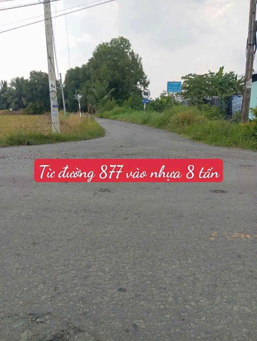 Bán đất 199m² Chợ Gạo Tiền Giang, giá 260 triệu - Ảnh thu nhỏ 3
