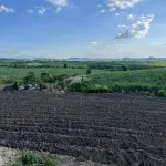 Bán 1 hecta đất tại huyện M'Đrăk, tỉnh Đắk Lắk - Ảnh thu nhỏ 20