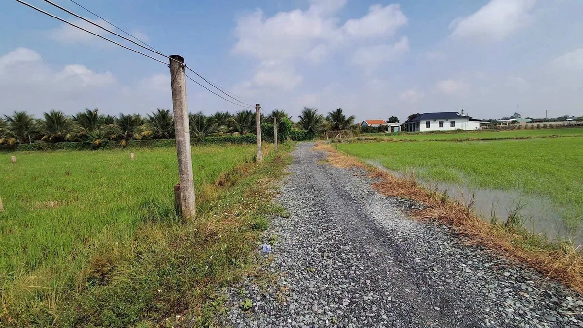 Bán 1.000m2 đất thổ cư và đất lúa gần ngã tư Lạc Tấn, giá 1,25 tỷ - Ảnh thu nhỏ 3