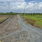 Bán 535m² đất vườn sổ riêng Tân Thành Thủ Thừa - Ảnh thu nhỏ 4