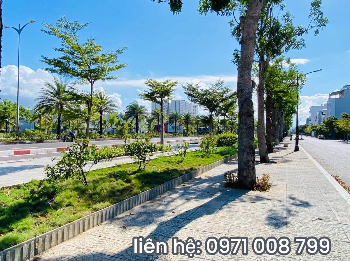 Bán lô đất mặt tiền Quốc lộ 19 Quy Nhơn 171m² - Ảnh thu nhỏ 3