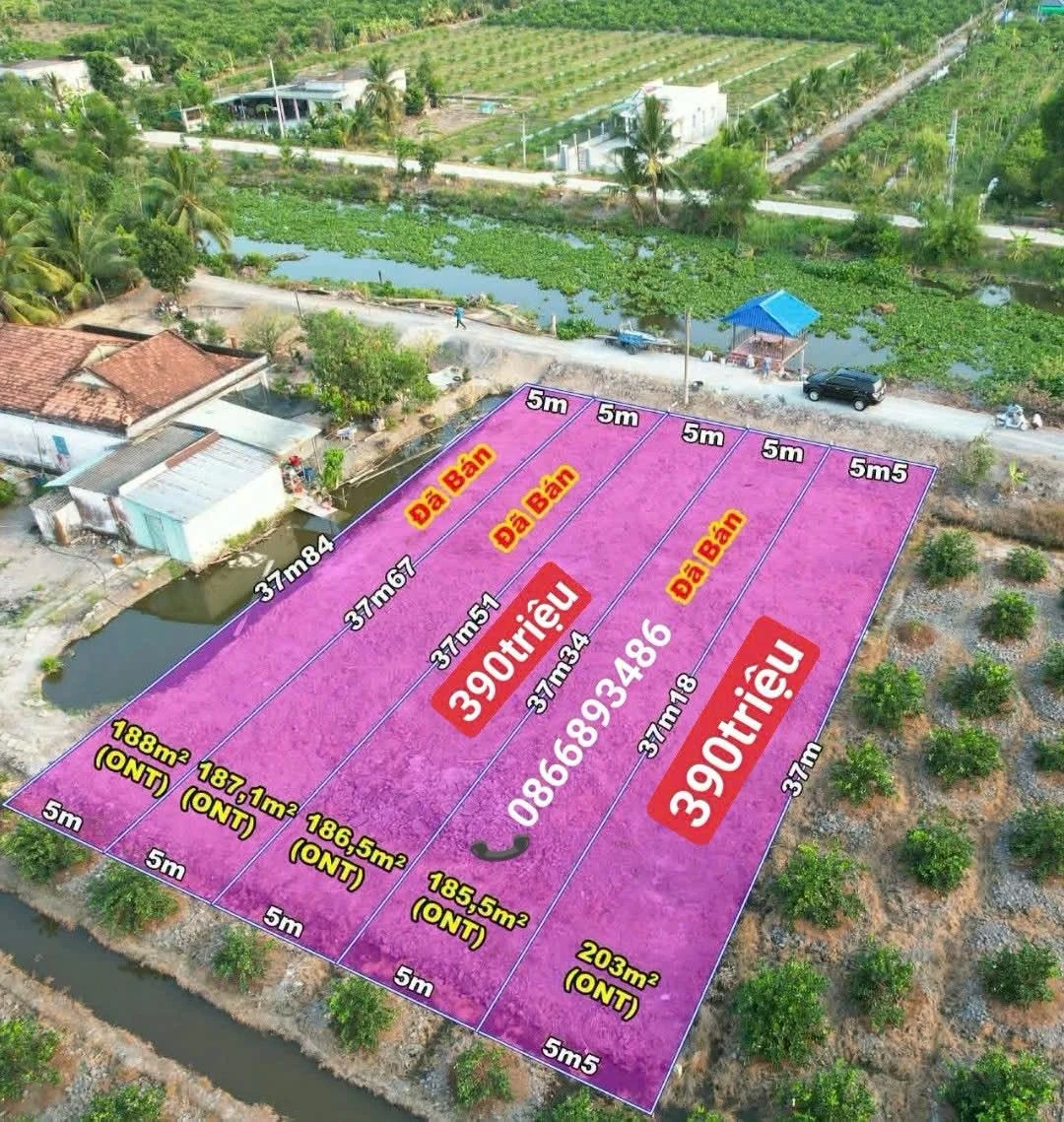 Bán đất thổ cư 186m² giá 390 triệu Bến Lức - Ảnh 1
