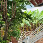 Bán đất 3,7 sào mặt tiền Tỉnh lộ 5, Bình Dương, 10 tỷ 550 triệu - Ảnh thu nhỏ 5