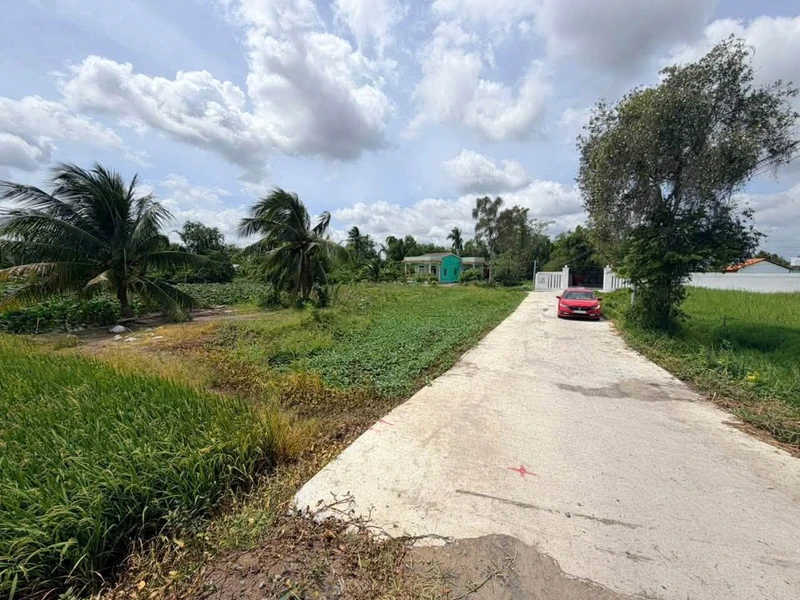 Bán đất ruộng 800m² xây nhà vườn Tân Trụ 1,1 tỷ