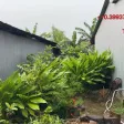 Ngân hàng thanh lý lô đất 59.5m2 full thổ cư tại Bình Đức, Thành phố Long Xuyên chỉ 354 triệu đồng - Ảnh thu nhỏ 8