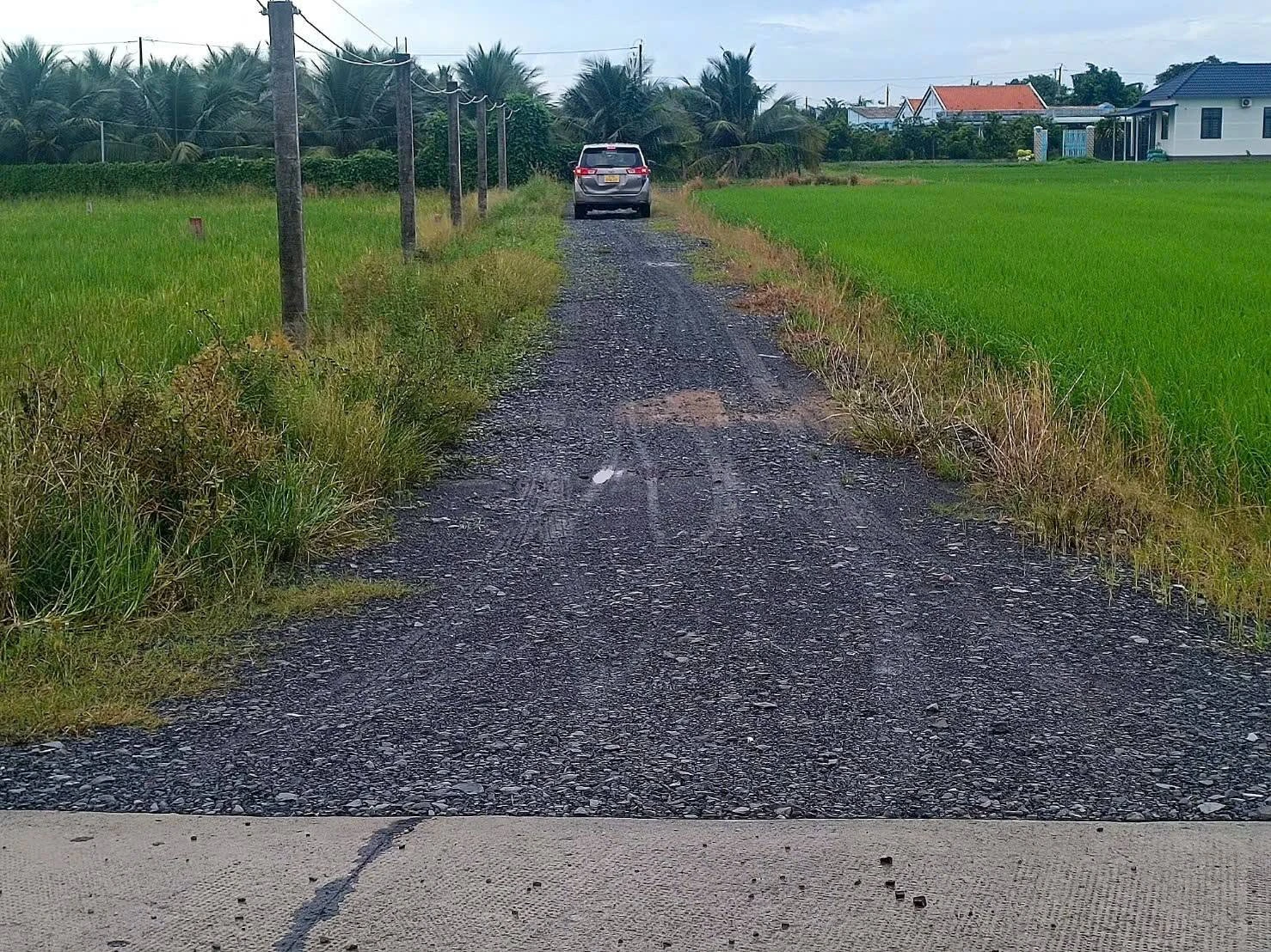 Bán đất 1000m² xây nhà vườn tại Tây Ninh - Ảnh 1