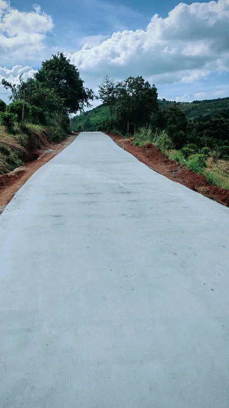 Bán đất Lâm Đồng 1,2ha 2,2 tỷ đường bê tông