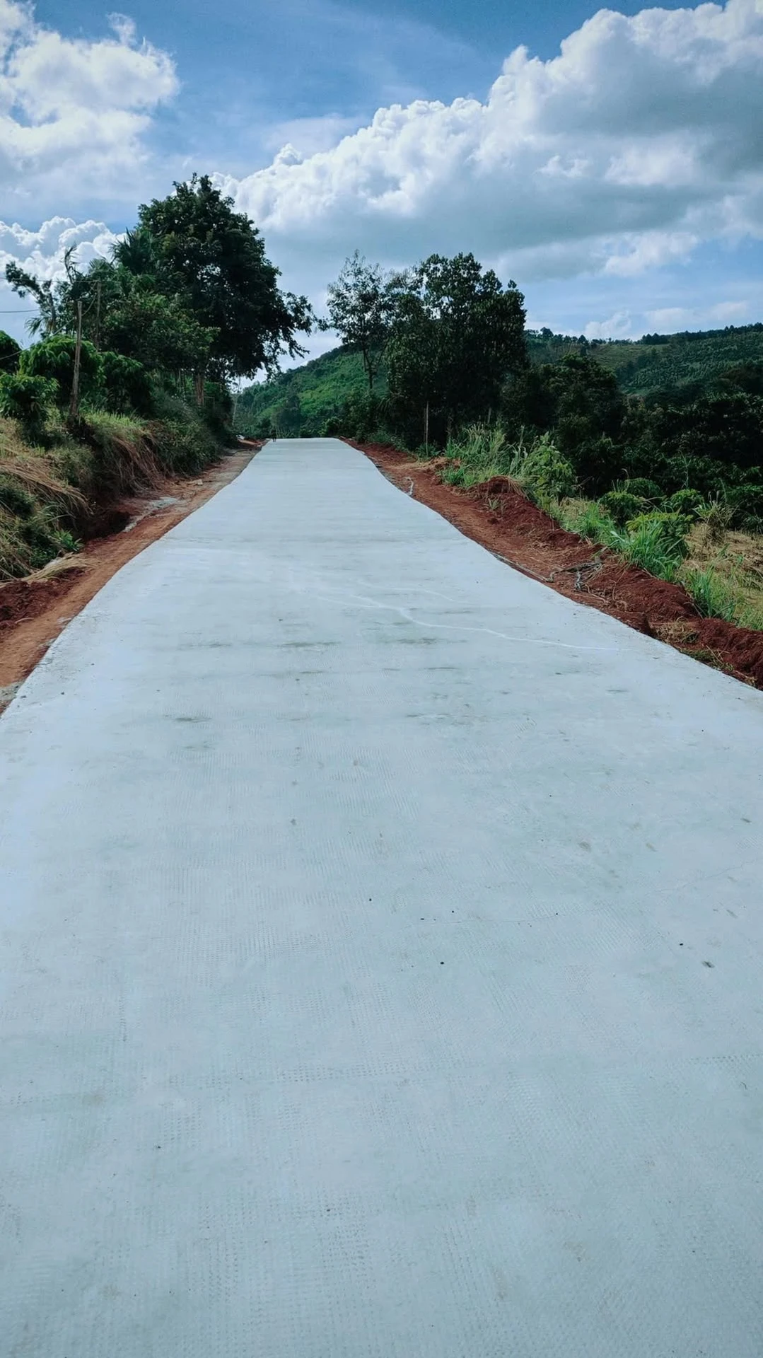Bán đất Lâm Đồng 1,2ha 2,2 tỷ đường bê tông - Ảnh 1