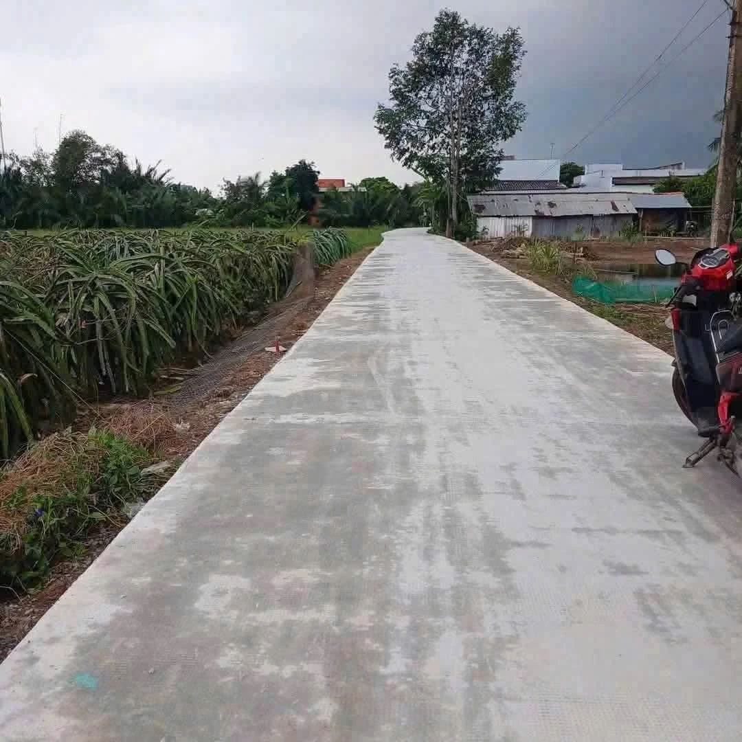 Bán đất nông nghiệp 1.000m2 Thuận Mỹ Long An - Ảnh 1