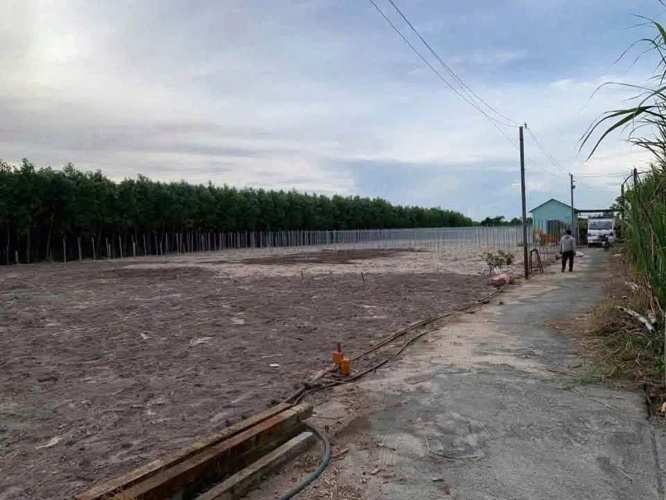 Bán đất nền 11.315m² mặt tiền 68m Lộc An, Bà Rịa - Vũng Tàu 7 tỷ - Ảnh thu nhỏ 3