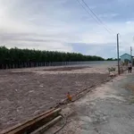 Bán đất nền 11.315m² mặt tiền 68m Lộc An, Bà Rịa - Vũng Tàu 7 tỷ - Ảnh thu nhỏ 3