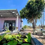 Bán nhà vườn Hàm Thắng 1000m² (300m² thổ cư) 2 tỉ 7 - Ảnh thu nhỏ 4