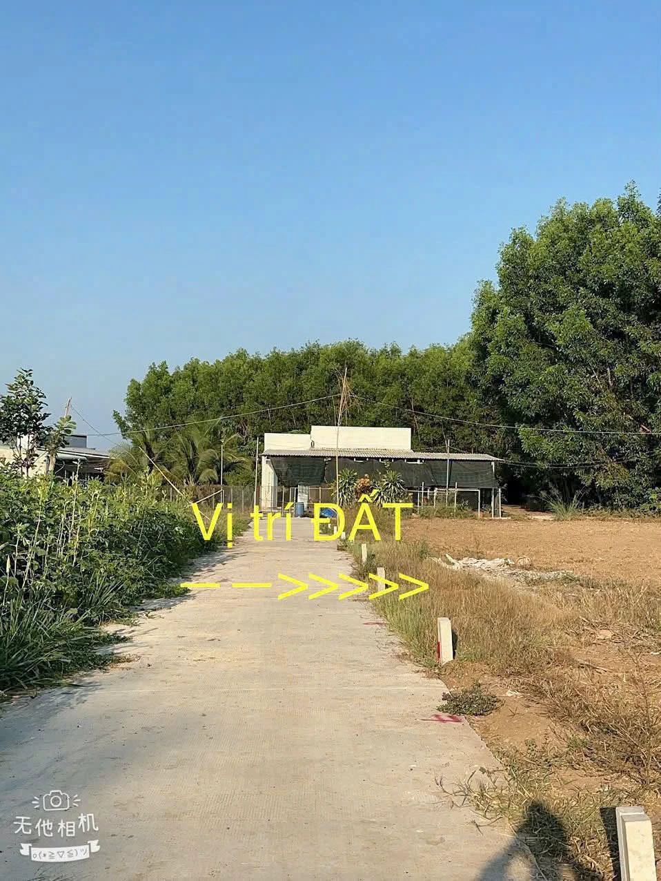 Bán đất Láng Dài Đất Đỏ 100m² giá 299 triệu - Ảnh 1