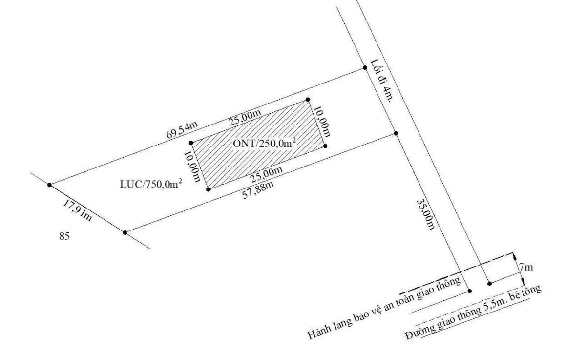 Bán đất 1000m² xây nhà vườn tại Tây Ninh - Ảnh thu nhỏ 4
