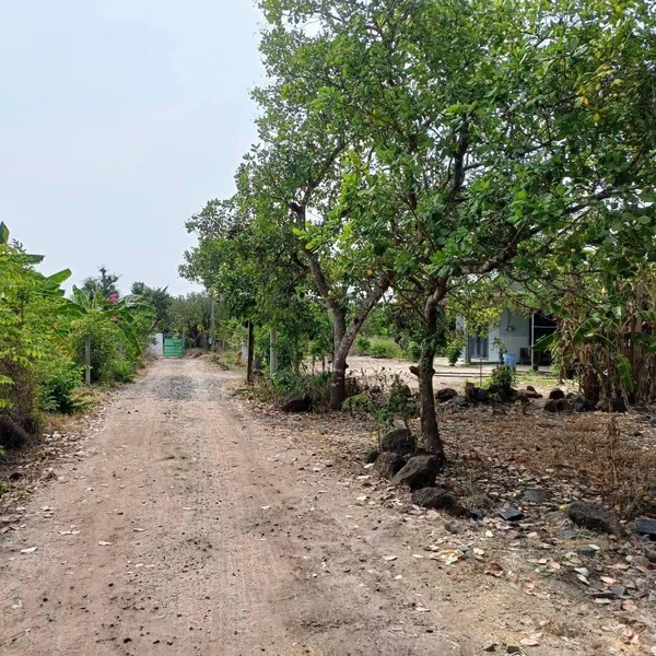 Bán đất nông nghiệp 2300m² mặt tiền 90m tại Xã Phú Hòa, Đồng Nai