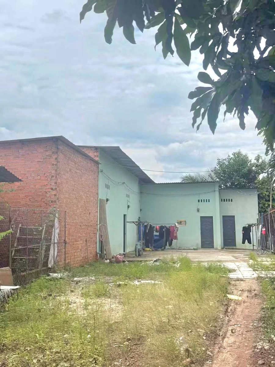 Bán khu nhà vườn 5.150m² có nhà gỗ cổ, ao cá tại An Điền, Bến Cát, Bình Dương - Ảnh thu nhỏ 5