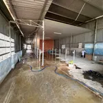 Bán gấp kho mặt tiền Tỉnh lộ 9, Mỹ Hạnh Bắc, Long An, 480m2, giá 8,5 tỷ - Ảnh thu nhỏ 5