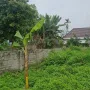 Đất giữa thị trấn Kép, Lạng Giang. 638m2 - Full thổ cư. Giá 3,5 tỷ - Ảnh thu nhỏ 10