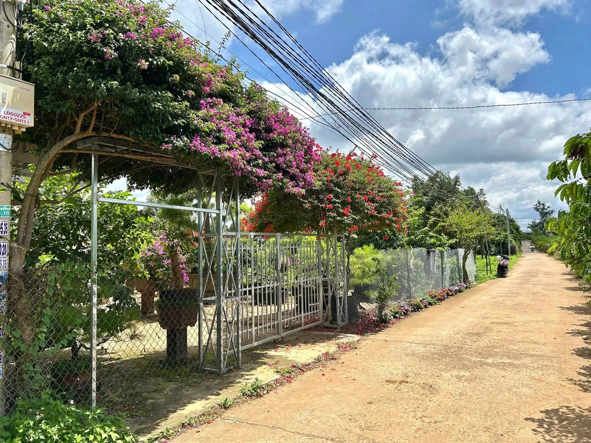 Bán đất nền Tân Hội Lâm Đồng 125m² giá 680 triệu - Ảnh thu nhỏ 3