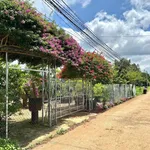 Bán đất nền Tân Hội Lâm Đồng 125m² giá 680 triệu - Ảnh thu nhỏ 3
