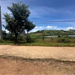 Bán đất view đồi thông Đà Lạt, sẵn sổ, 839m² và 1098m² - Ảnh thu nhỏ 3