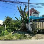 Bán lô đất Diên An 200m2 mặt tiền Cầu Cháy 2,5 tỷ - Ảnh thu nhỏ 2