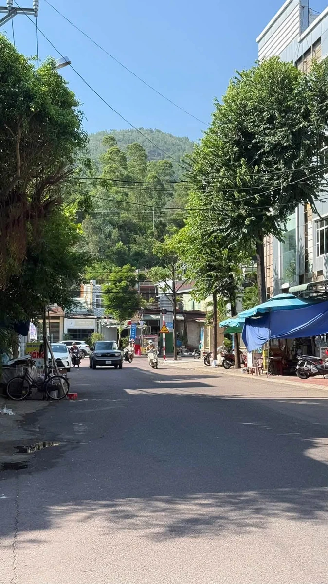 Bán đất góc mặt tiền 53m2 gần chợ Hoa Lư Quy Nhơn - Ảnh thu nhỏ 3