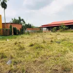 Bán đất 5600m2 tại Hậu Nghĩa 16 tỷ - Ảnh thu nhỏ 4