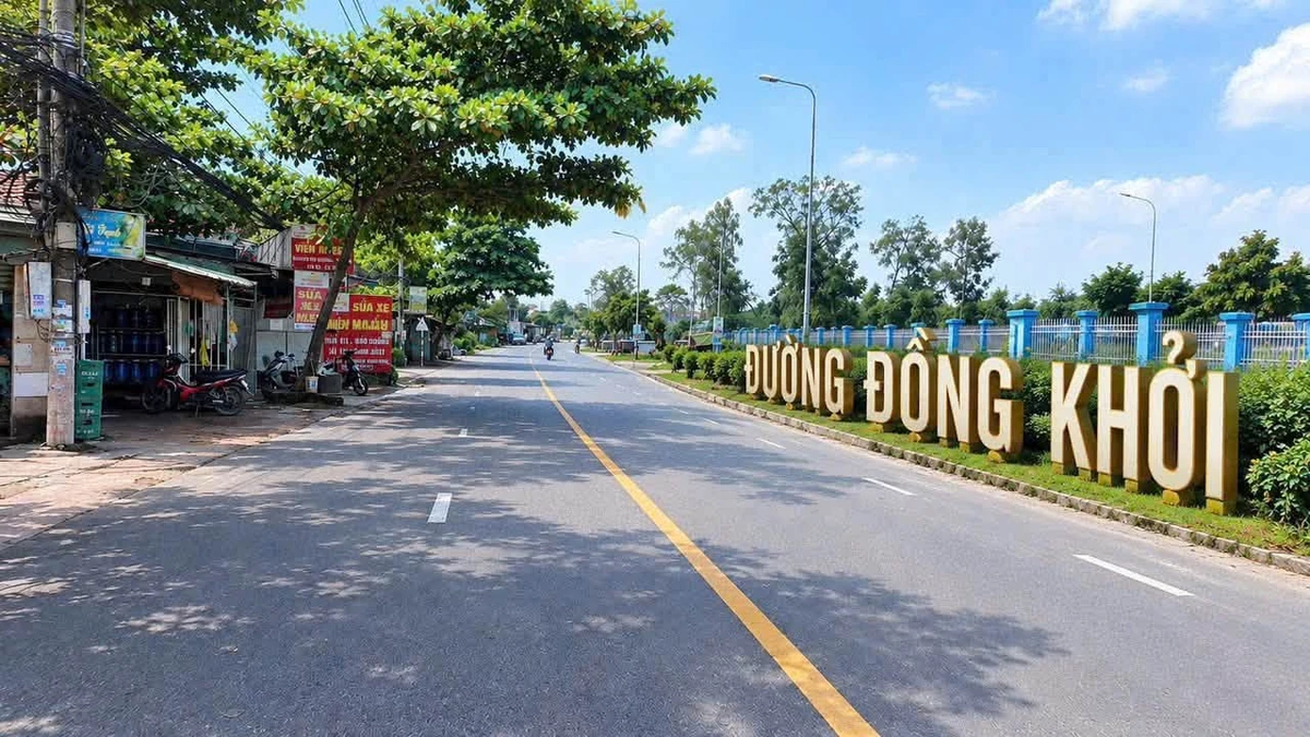 Bán đất xây biệt thự 162m2 Trảng Dài, Bình Chánh 1 tỷ - Ảnh thu nhỏ 5