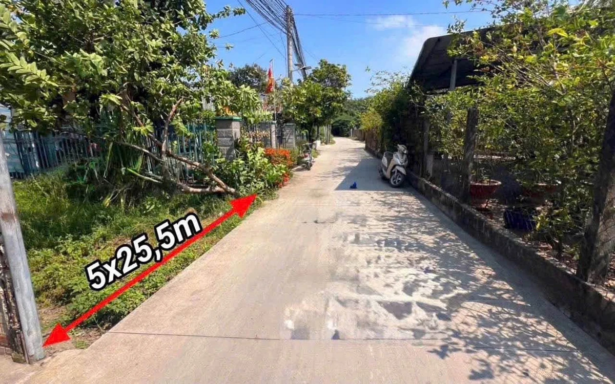 Bán đất thổ 127.5m2 đường Nhựa Đức Hòa Đông - Ảnh thu nhỏ 3