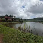 Bán 4ha đất vườn cà phê chanh dây Lâm Đồng 7,2 tỷ - Ảnh thu nhỏ 5