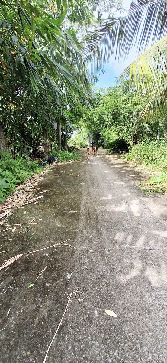 Bán đất 400m² Phan Thiết, sau KCN - Ảnh 1