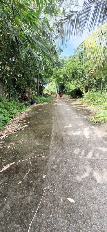 Bán đất 400m² Phan Thiết, sau KCN