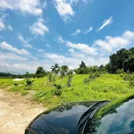 Bán đất vườn 509m2 Diên Khánh, Khánh Hòa 699 triệu - Ảnh thu nhỏ 4