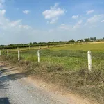 Bán đất Ấp Mỹ Thạnh Đông, Tây Ninh 2.446 m² giá 3.5 tỷ - Ảnh thu nhỏ 5