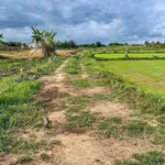 Bán đất sào Hàm Chính Bình Thuận 1000m², 190 triệu - Ảnh thu nhỏ 2