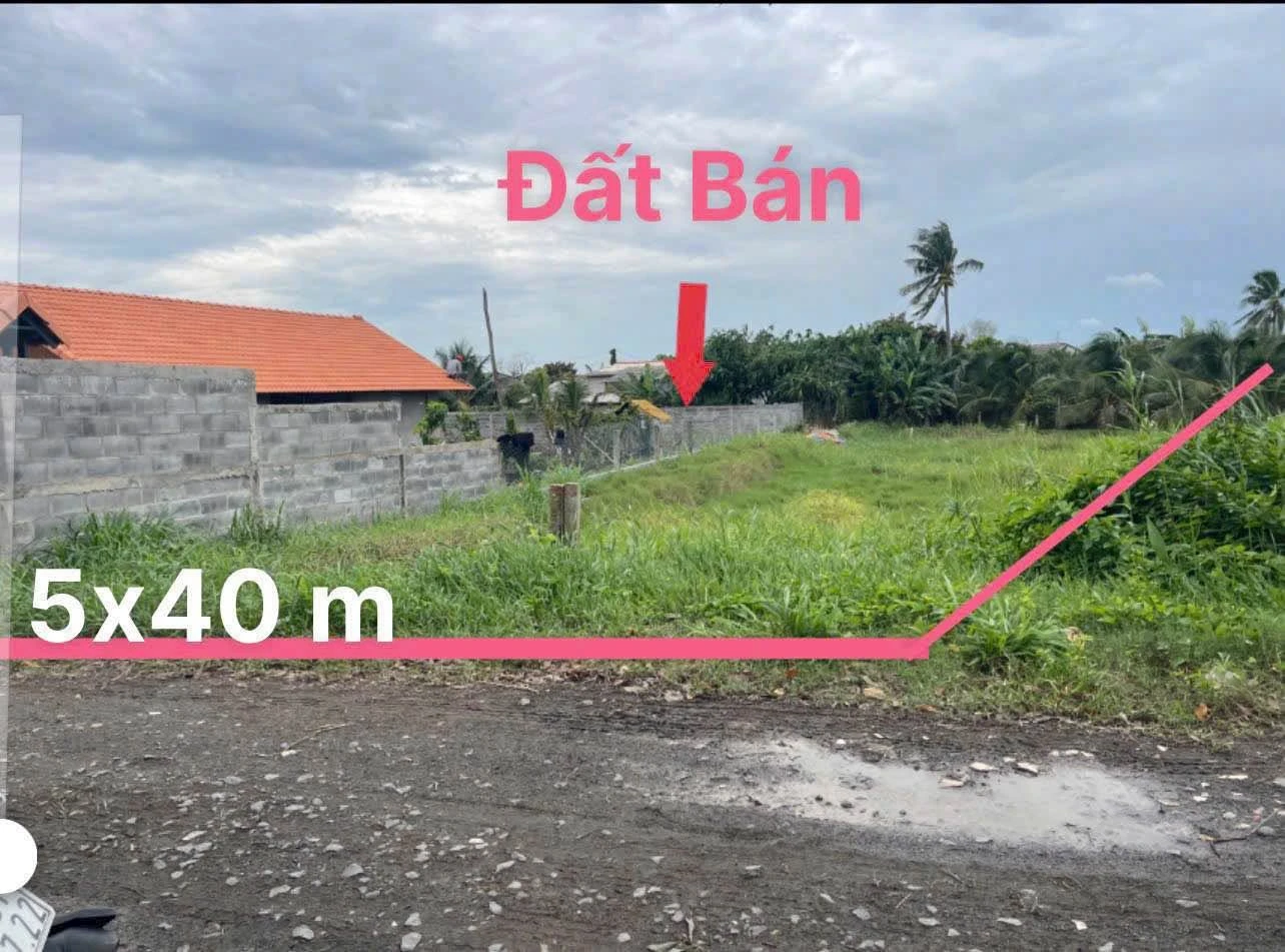 Bán đất thổ cư 5x40m mặt tiền đê sông Vàm Cỏ, giá 660 triệu, Châu Thành, Long An - Ảnh 1