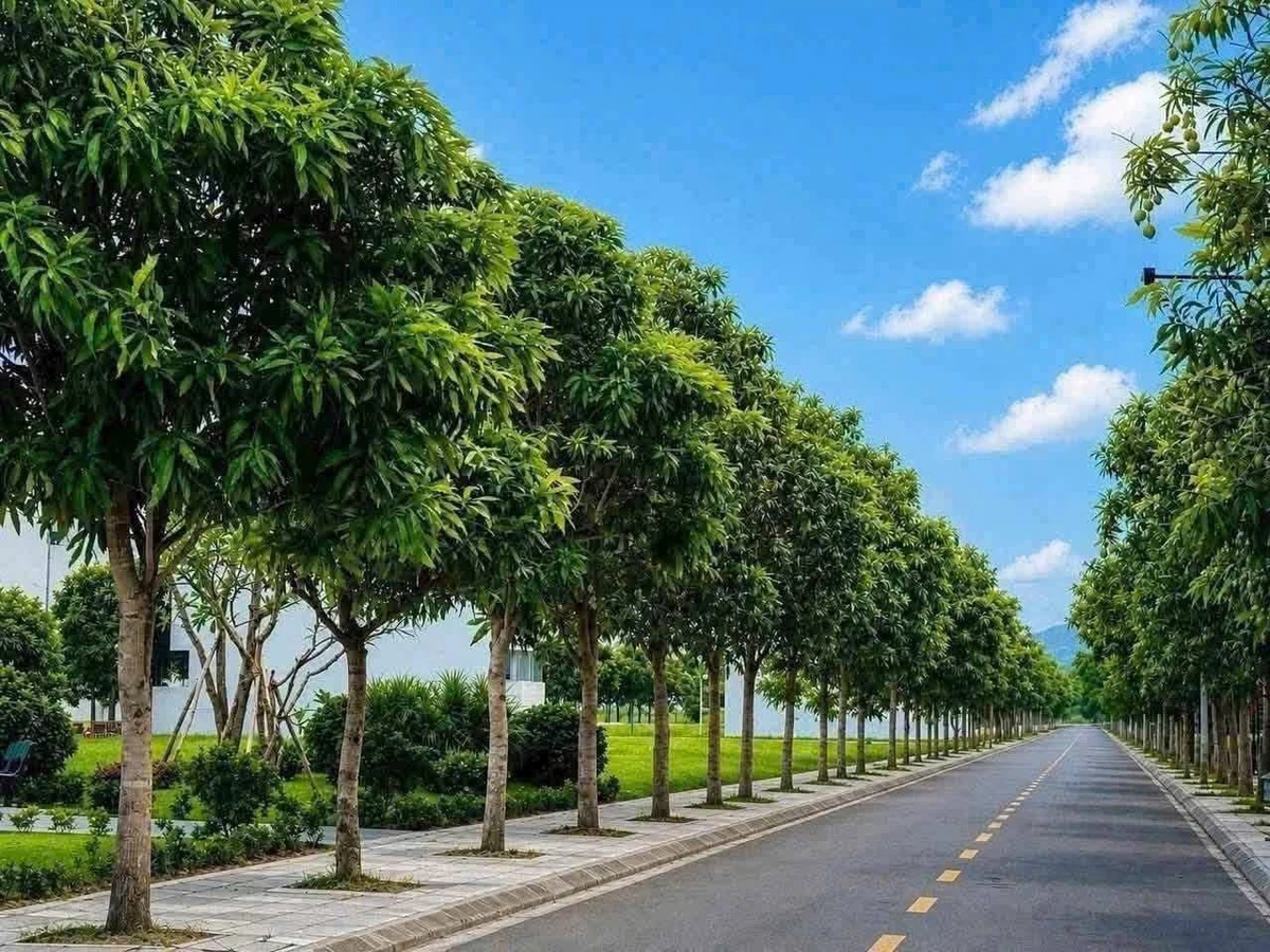 Bán lô đất Khu Đô Thị Quang Minh 75m2, giá 2 tỷ 4 - Ảnh thu nhỏ 2