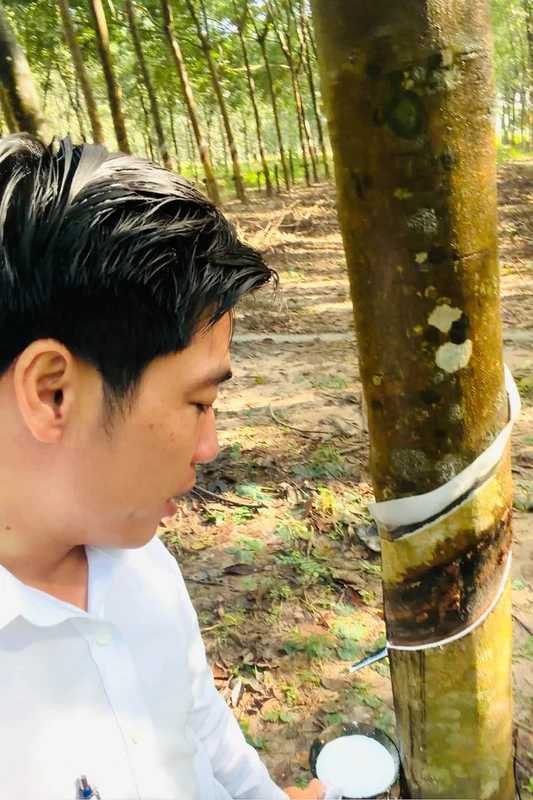 Bán đất 58m2 mặt tiền đường, view hồ Phước Hòa, Đồng Nai