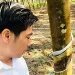 Bán đất 58m2 mặt tiền đường, view hồ Phước Hòa, Đồng Nai - Ảnh thu nhỏ 1