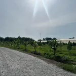 Bán đất Phú Giáo, Bình Dương 200-250m2, giá từ 390-590 triệu - Ảnh thu nhỏ 4