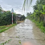 Bán đất thổ cư 132m2 giá 155 triệu tại Tân Hiệp, xã Hòa Trí - Ảnh thu nhỏ 2